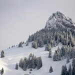 星巴克咖啡官网:探索全球咖啡文化与独特饮品体验 85mj78eil