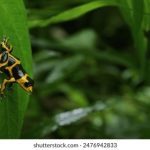 推荐最新电影的官方app下载,畅享观影乐趣 cil91awxv