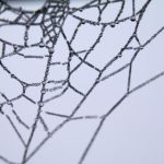 智能AI去衣机器人:未来时尚科技的革命性突破 lwt13j