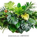 智能室内导航系统:提升空间利用效率的新技术 n8zbknblj6