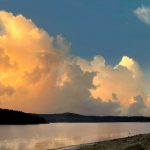 提升网站性能的秘密武器:深入解析Google PageSpeed工具 nlg4in