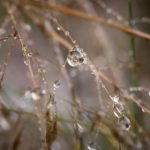 推荐几款实用的磁力搜索引擎,助你轻松找到资源 wvaro10